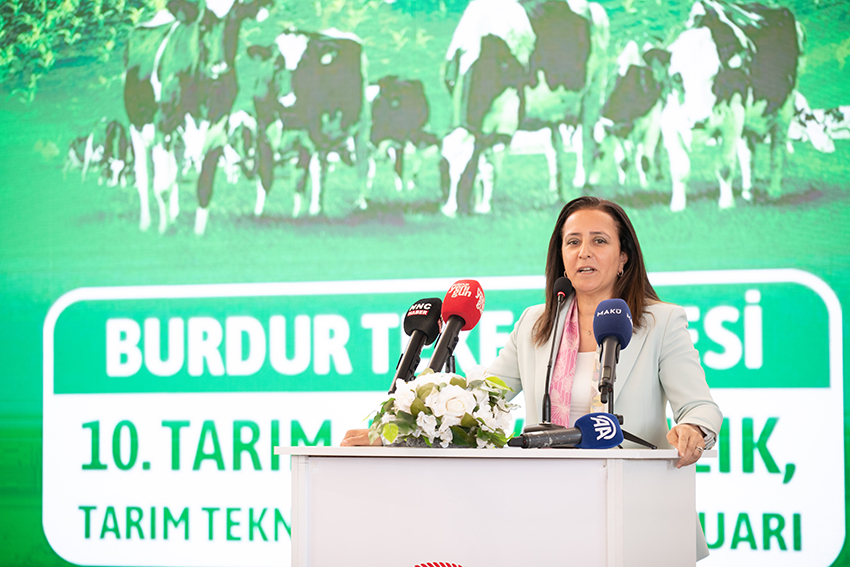 Tulay Baydar Bilgihan1