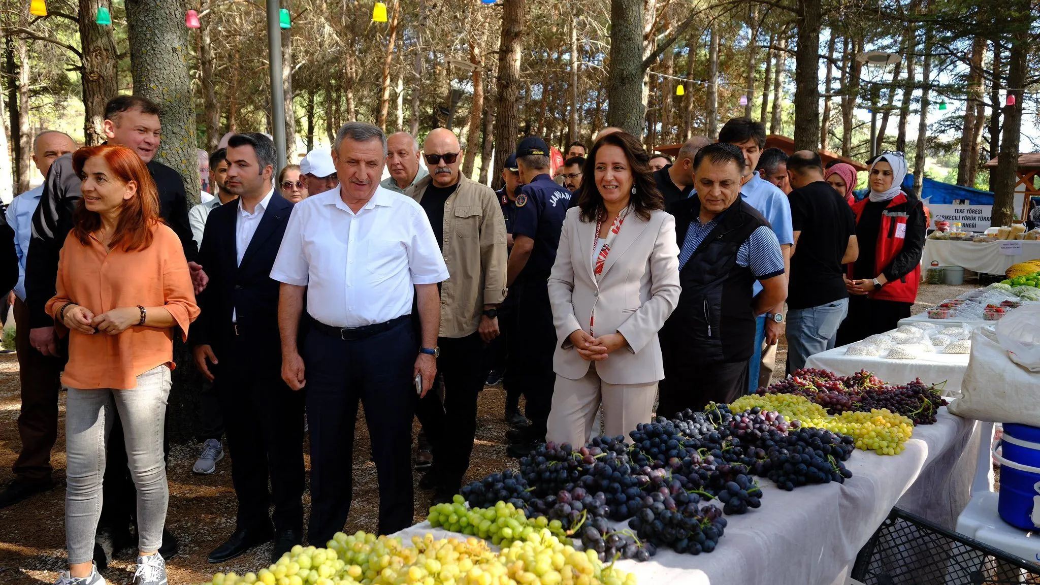 Insuyu Senlikleri 2025 4