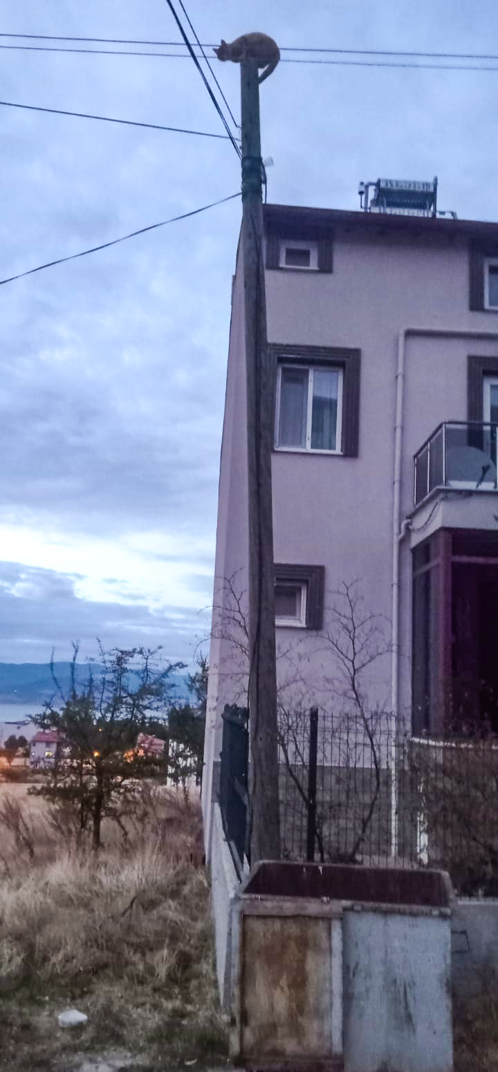 0896F61C 7D4D 4E00 842B 2A7268204B56