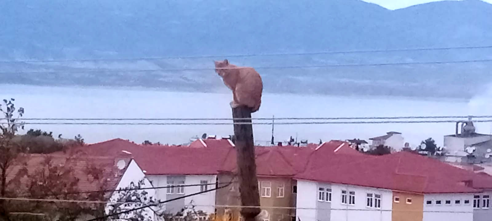 1F6F6F12 5497 45F6 80Cc Ad8538F55B59-1