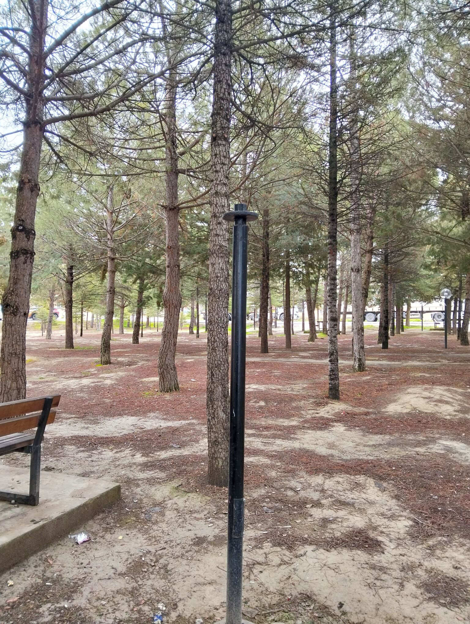 656049954 1334282112069313 655960129260563760 N