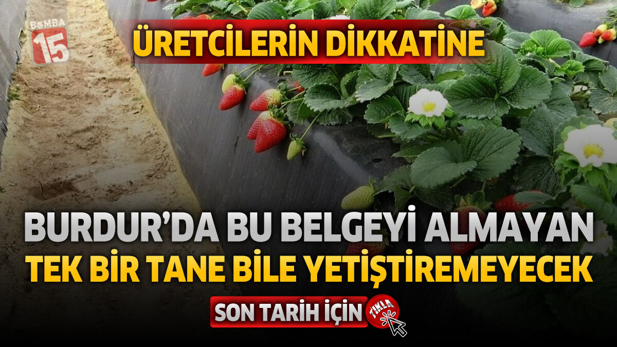 Üreticilerin Dikkatine: Burdur'da Bu Belgeyi Almayan Tek Bir Tane Bile Yetiştiremeyecek