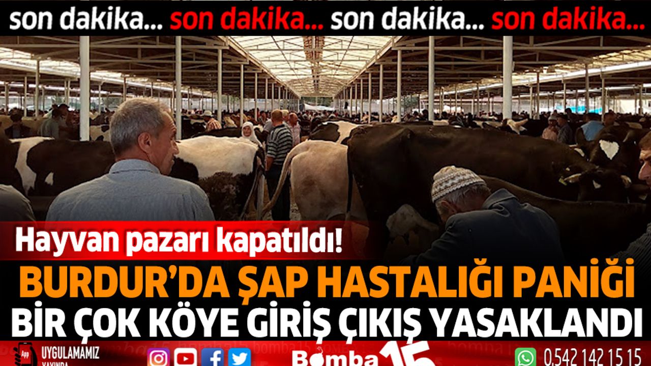 Burdur'da şap hastalığı paniği! bir çok köye giriş çıkış yasaklandı