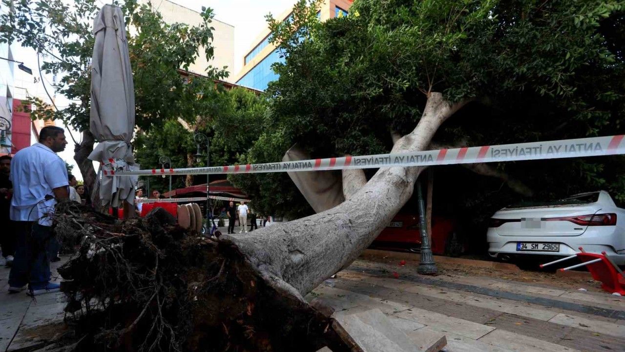 Antalya’da faciadan dönüldü: Araçların üzerine devrilen ağacın altında kalmaktan son anda kurtuldu
