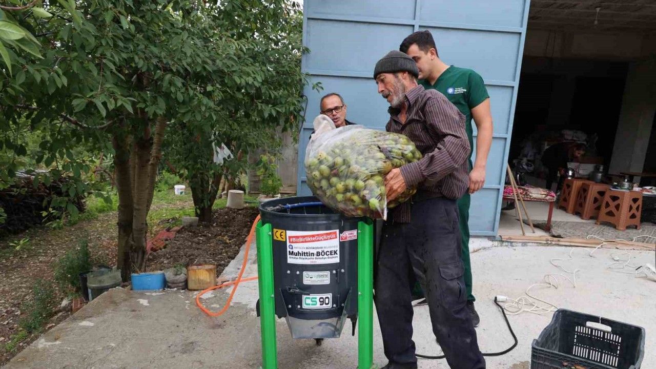 Büyükşehir’in ceviz soyma makineleri üreticilerin hizmetinde