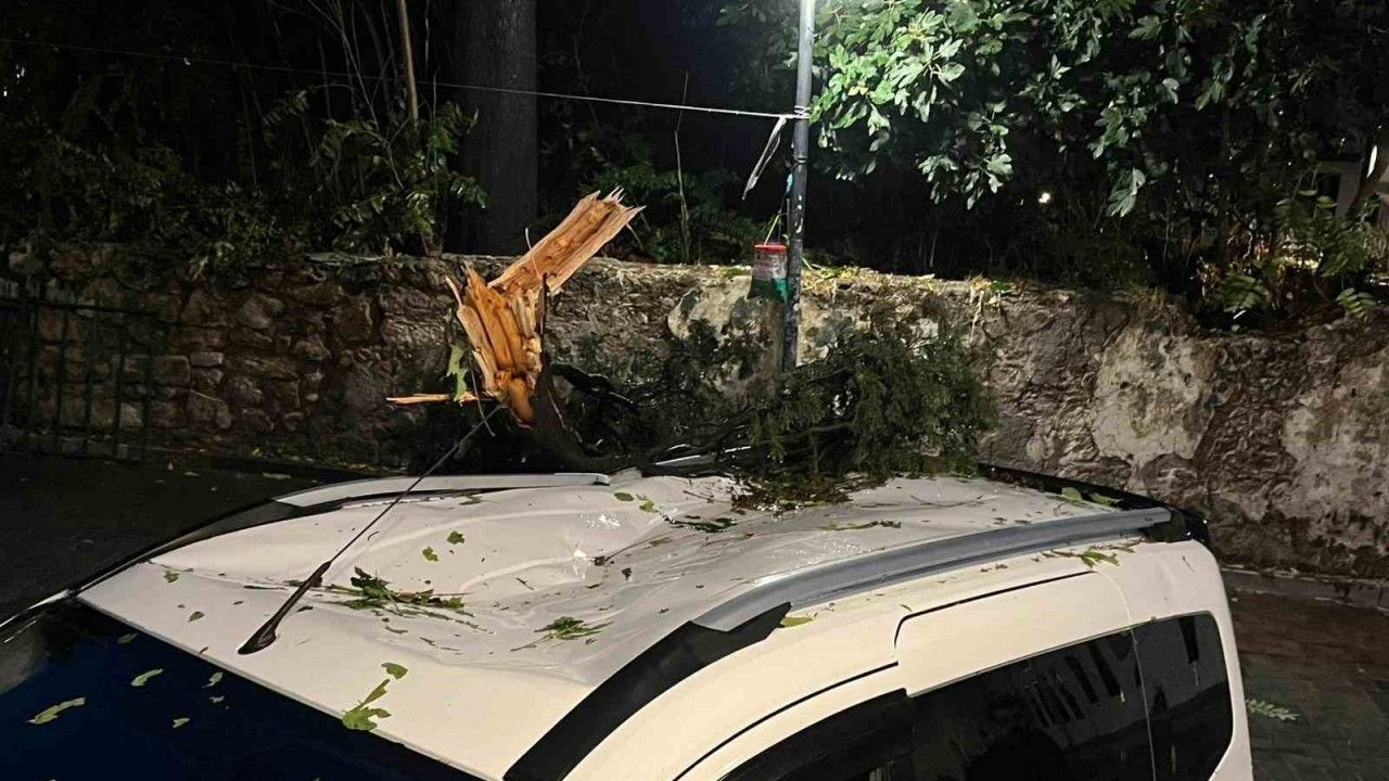Fırtınanın devirdiği ağaç park halindeki aracın üzerine düştü