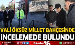 Vali Öksüz Millet Bahçesinde incelemede bulundu
