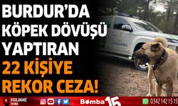 Burdur'da köpek dövüşü yaptıranlara rekor ceza!