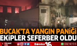 Bucak'ta yangın paniği ekipler seferber oldu