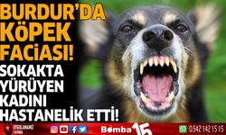 Burdur'da köpek faciası! sokakta yürüyen kadını hastanelik etti