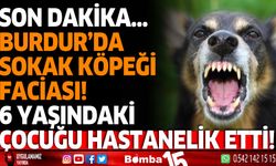 Burdur'da sokak köpeği faciası 6 yaşındaki çocuğu hastanelik etti