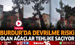 Burdur'da devrilme riski olan ağaçlar tehlike saçıyor