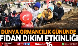 Dünya Ormancılık Gününde Fidan Dikim Etkinliği