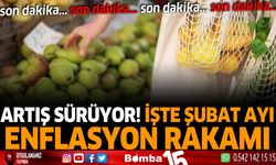 artış sürüyor! işte şubat ayı enflasyon rakamı