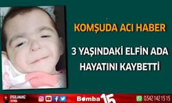 Komşuda Acı Haber 3 Yaşındaki Elfin Ada Hayatını Kaybetti