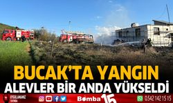 Bucak'ta Yangın Alevler Bir Anda Yükseldi