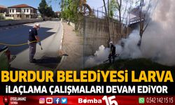 Burdur Belediyesi Larva İlaçlama Çalışmaları devam ediyor
