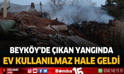 Tefenni Beyköy'de yangın evi küle çevirdi