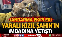 Jandarma Ekipleri Yaralı Kızıl Şahin'in İmdadına Yetişti