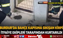 Burdur'da Bahçe Kapısına Sıkışan Kirpi İtfaiye Ekipleri Tarafından Kurtarıldı