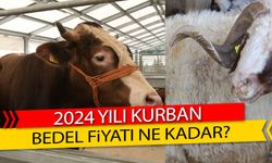 2024 yılı kurban bedel fiyatı ne kadar?