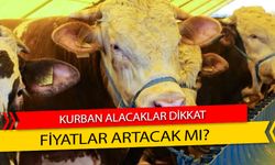 Kurban Alacaklar Dikkat! Fiyatlar Yükselecek Mi?