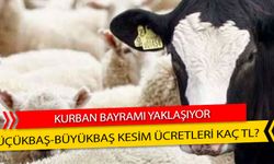 Kurban Bayramı Yaklaşıyor! Kasaplarda Kesim Fiyatları Ne Kadar?