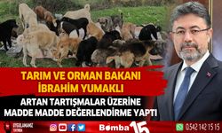 Sahipsiz köpeklerle ilgili Bakan İbrahim Yumaklı'dan madde madde değerlendirme