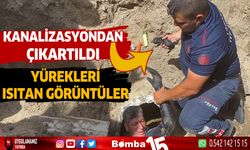 Isparta'da yürekleri ısıtan görüntüler objektiflere böyle yansıdı