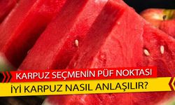 Lezzetli Bir Yaz Keyfi: İyi Karpuz Seçmenin Püf Noktaları