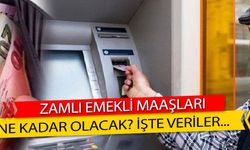 Memur ve Emekli Maaş Zamları: Temmuz'da Ne Kadar Artış Bekleniyor?