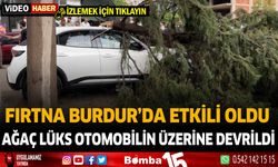 Burdur'da fırtına etkili oldu... Kırılan ağaç otomobilin üzerine devrildi