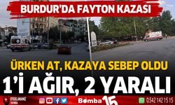 Burdur'da fayton kazası, 1'i ağır 2 kişi yaralandı...