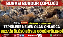 Burdur çöplüğüne atılmış onlarca buzağı ölüsü görüntülendi