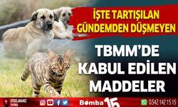 Sokak köpekleri ve kediler ile ilgili teklif edilerek kabul edilen kanun maddeleri