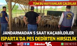 78 küçükbaş hayvanı çalan hırsızlar 5 saatte yaralandı