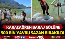 Karacaören Barajına 500 bin aynalı sazan yavrusu bırakıldı