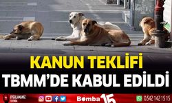 Başıboş sokak köpeklerine ilişkin kanun teklifi TBMM tarafından kabul edildi