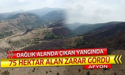 Dağlık alanda çıkan yangında 75 hektar alan zarar gördü