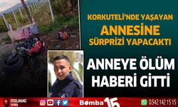 Haftasonu annesine sürpriz yapmak için yola çıkmıştı