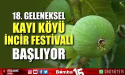 Kayı Köyü 18. Geleneksel Kültür Sanat ve İncir Festivali başlıyor