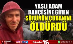 Bahçesine giren sürünün çobanını öldürdü