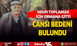 Odun kesmek için evden çıktı. Ölüm haberi geldi