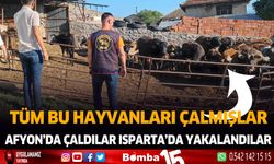 23 büyükbaş hayvanı çalan hırsızlar yakalandı