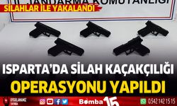 Isparta'da silah kaçakçılığı operasyonu, 1 kişi tutuklandı