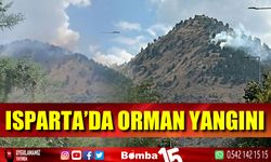 Isparta'da orman yangın çıktı