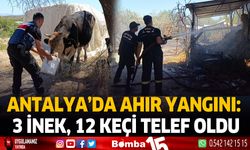 Antalya'da ahır yangını: 3 inek, 12 keçi telef oldu