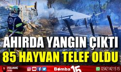 Ahırda çıkan yangında 85 küçükbaş hayvan telef oldu