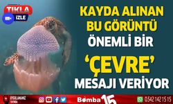 Antalya'da caretta carretanın deniz anasını yediği görüntüler