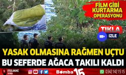 Antalya'da ağaçta takılı kalan praşütçü için seferber olundu